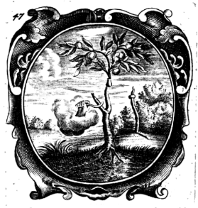 illustratie