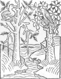 illustratie