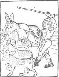 illustratie