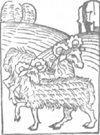 illustratie