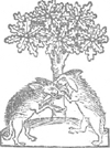 illustratie
