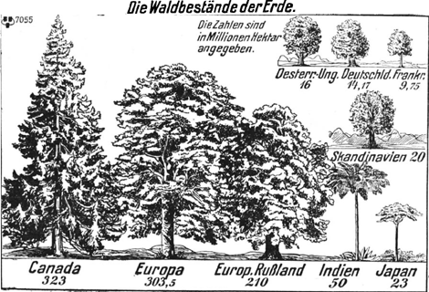 illustratie