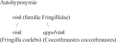illustratie
