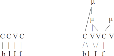 (24) de transitie van /blIf/De hoofdletters in de representaties in (24) en (25) staan voor elementen. naar [bli:2f]

Onderliggende structuur

OppervlaktestructuurIk ben gedwongen om aan te nemen dat een consonantcluster in de onset niet meer dan één positie inneemt. Dat komt omdat een constituent nooit meer dan twee dochters mag hebben. Deze hypothese leidt ertoe dat een cluster fonologisch de status heeft van een complex segment. Voor een overzicht van deze problematiek verwijs ik naar Van der Hulst (2004).