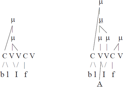 (27) Geen diftongering in [bli:2f]

Wel diftongering in [blεi1f]