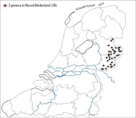 Kaart 9. Genusonderscheid in de Noord-Nederlandse dialecten op basis van onbepaald lidwoord, adjectief en aanwijzend voornaamwoord volgens GRTP en SAND (testzin 167)