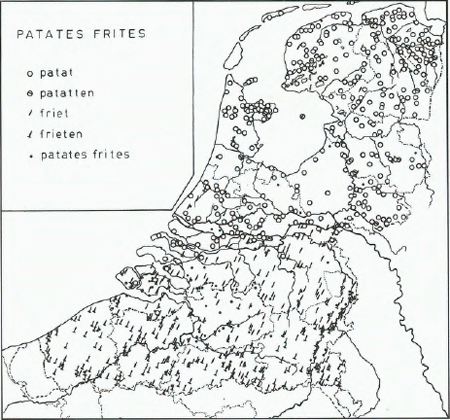 illustratie