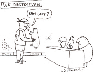 illustratie