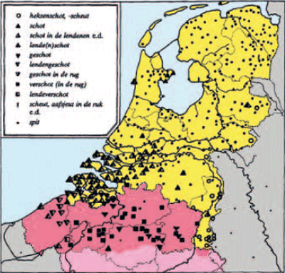 illustratie