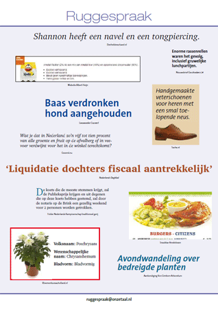 illustratie