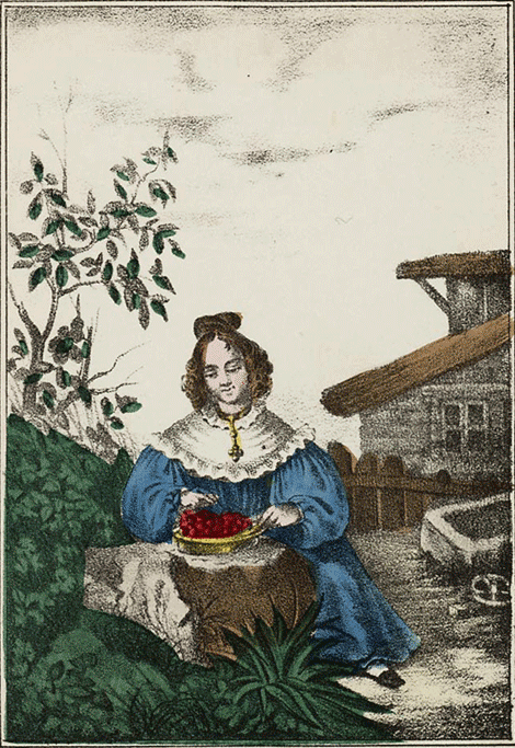 illustratie