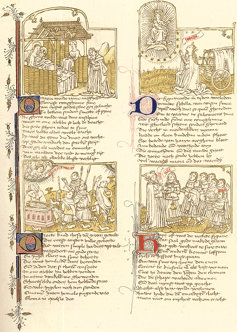 illustratie