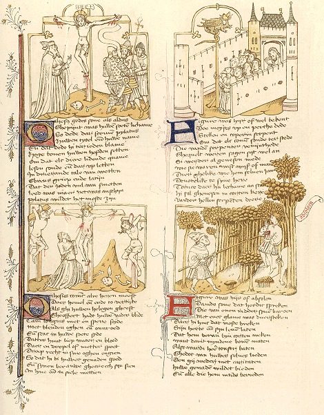 illustratie