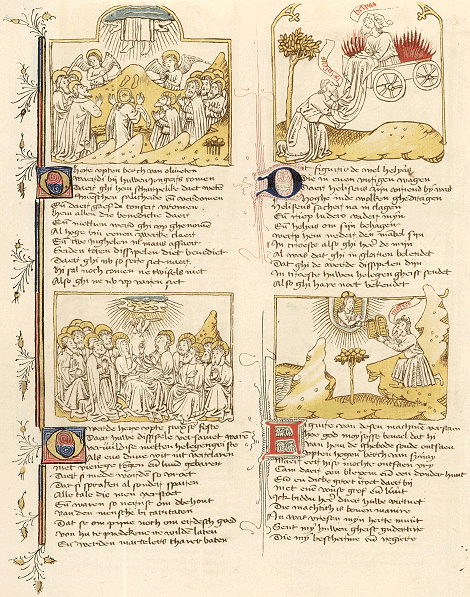 illustratie