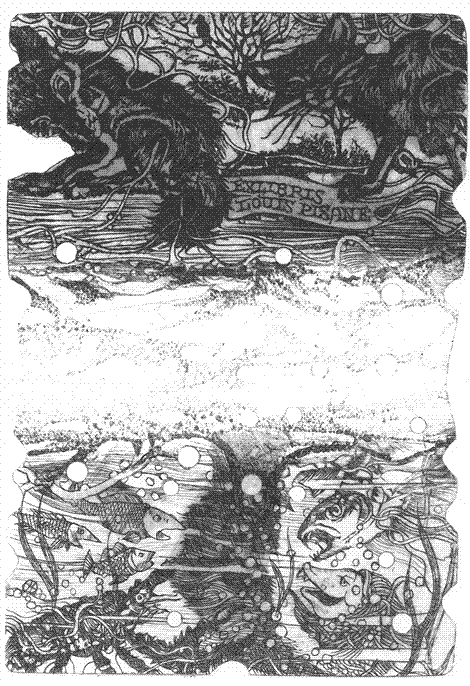 illustratie