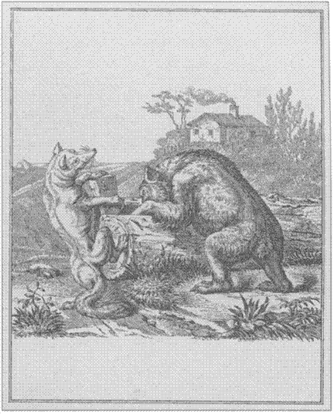 illustratie