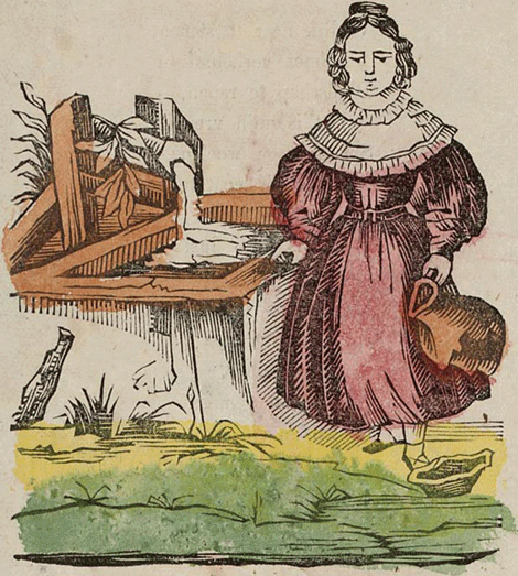 illustratie
