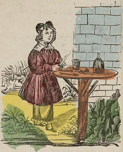 illustratie