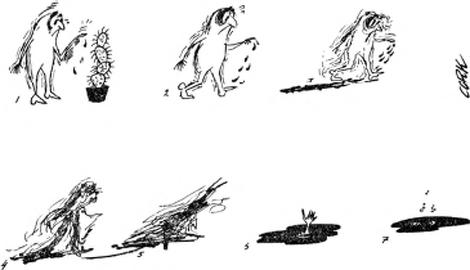 illustratie