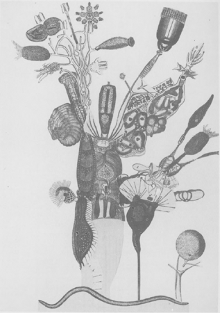 illustratie