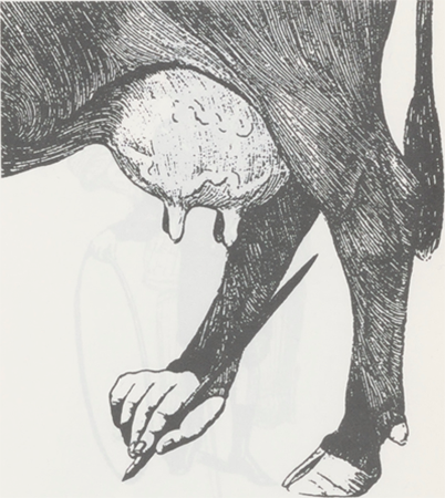 illustratie