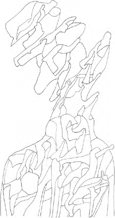 illustratie