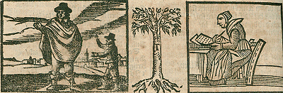 illustratie
