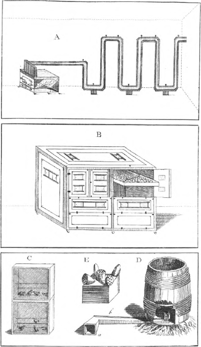 illustratie