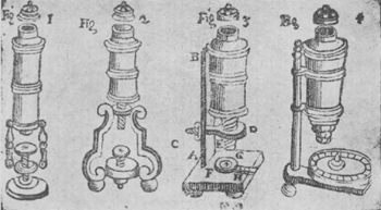 illustratie