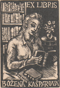 illustratie