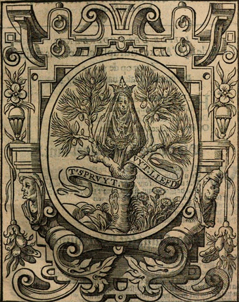illustratie