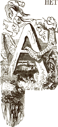 illustratie