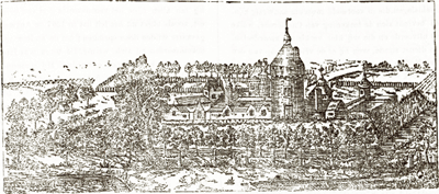 illustratie