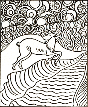 illustratie