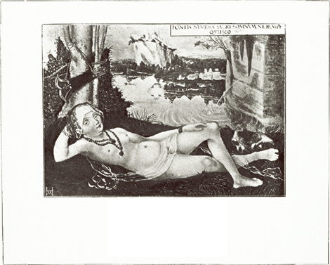 illustratie