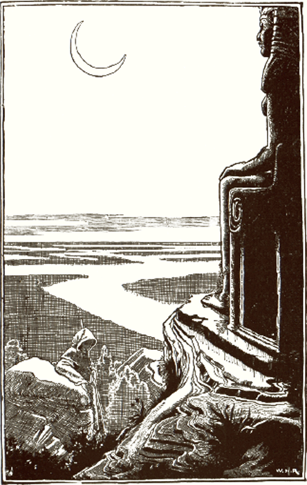 illustratie