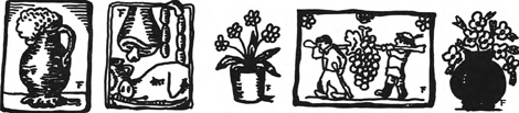 illustratie