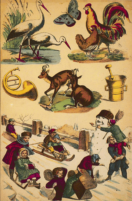 illustratie