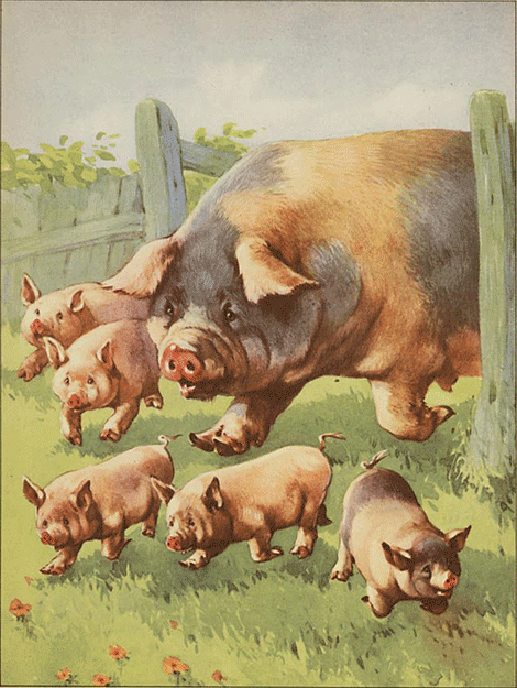 illustratie