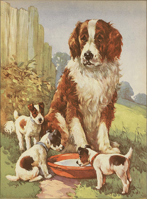 illustratie