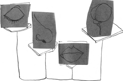 illustratie