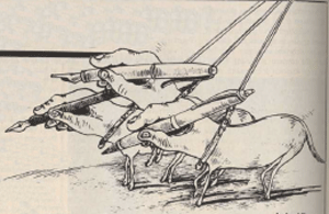 illustratie