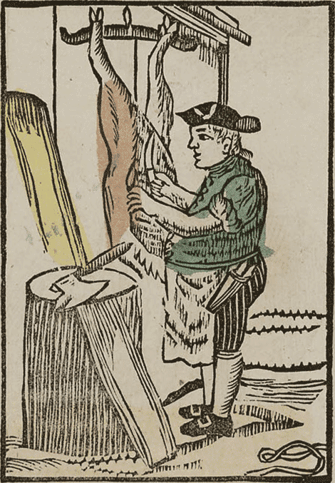 illustratie