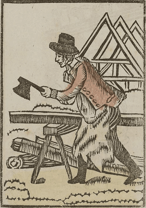 illustratie