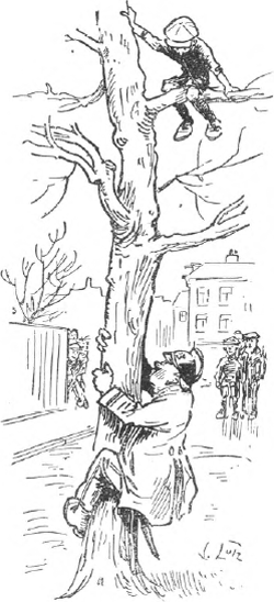 illustratie