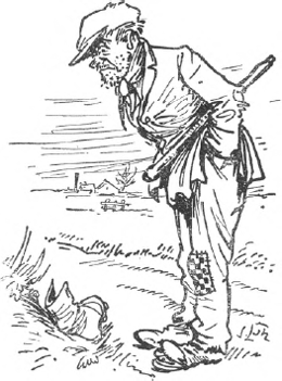 illustratie