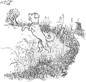 illustratie