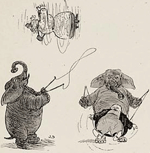 illustratie