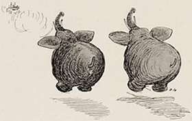 illustratie