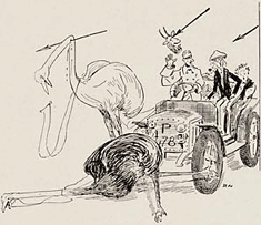 illustratie